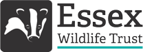 Click for website Essex Wildlife Trust logo